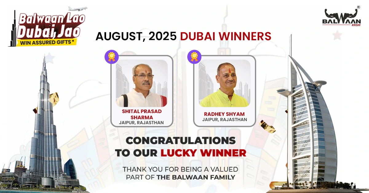 balwaan-lao-dubai-jao-august-2025