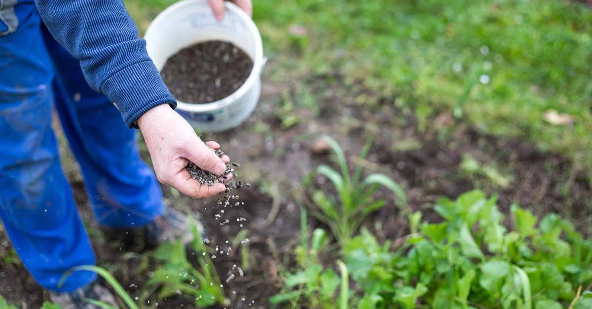 Chemical Fertilizers